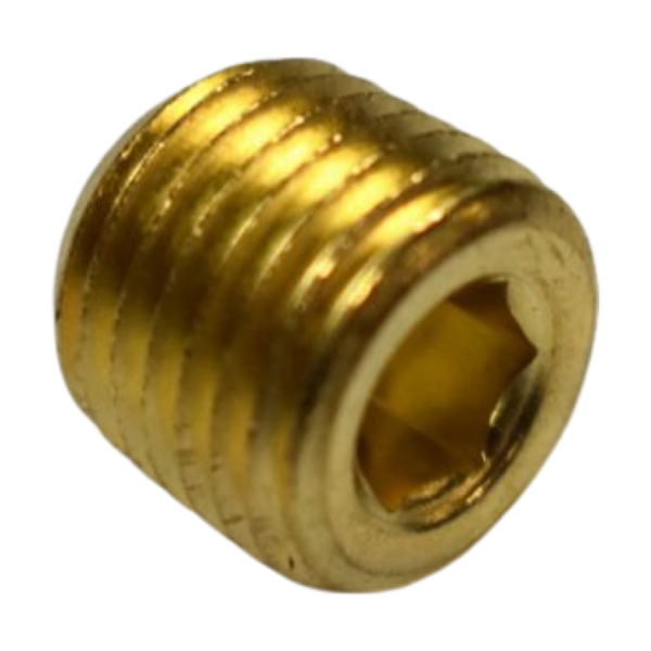 1/4" Allen Head Brass Plug